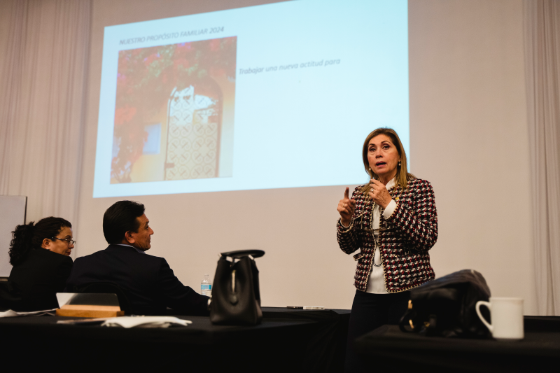 Profesional en conferencia
